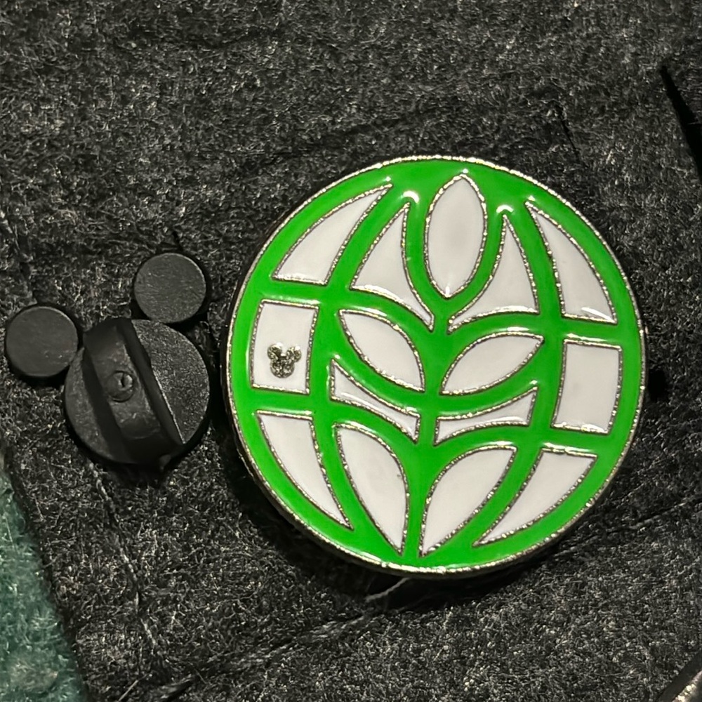 Disney Epcot pin hidden Mickey